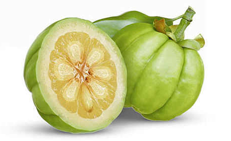 composition garcinia cambogia