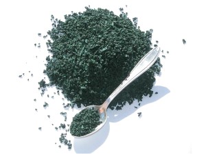 spiruline