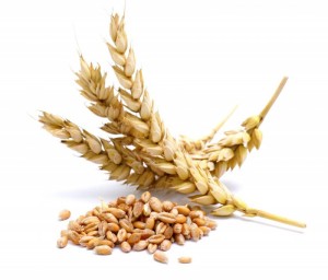 acheter gluten